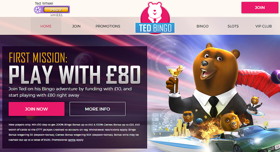 Ted bingo login account